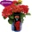Royalty Collection® Fire Wings Royalty Collection® Хортензия macrophylla