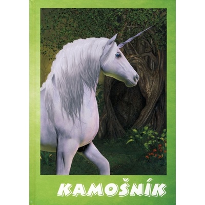 Kámošník - Dagmar Orémusová