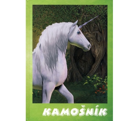 Kámošník - Dagmar Orémusová