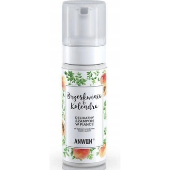 Anwen Broskev a koriandr Jemný pěnový šampon 170 ml