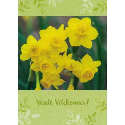 Pohlednice Veselé Velikonoce 14