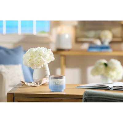 Chesapeake Bay Serene Waters 85 g