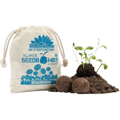 Die Stadtgärtner Seed Bombs "Sedmokrásky" 8 ks