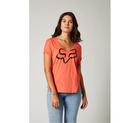 Fox Boundary Flamingo