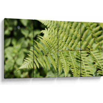 Obraz - Kapradinový list, Čtyřdílný 160x80 cm – Hledejceny.cz