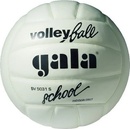 Volejbalové lopty Gala School Foam