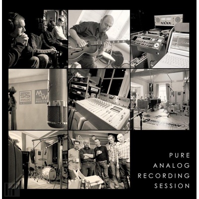 STS Digital STS Digital: Pure Analog Recording Sessions - Vinyl (LP) (092547)