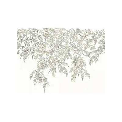 Caselio Vliesová fototapeta Art of Botany Lístie biela 200x250 cm