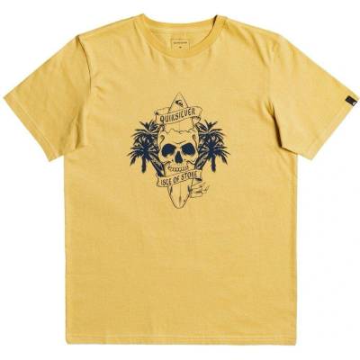 QUIKSILVER YOUTH NIGHT SURFER TEE Rattan YHP0
