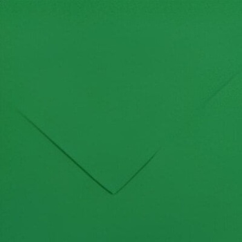 Canson Colorline 50x65 cm Moss Green 30 150 g Цветна хартия (C200041406)