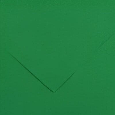 Canson Colorline 50x65 cm Moss Green 30 150 g Цветна хартия (C200041406)