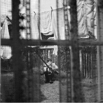 Universal McCartney Paul: Chaos And Creation In The Backyard - CD (021403)