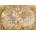 Clementoni - Puzzle Ancient Map - 2 000 piese