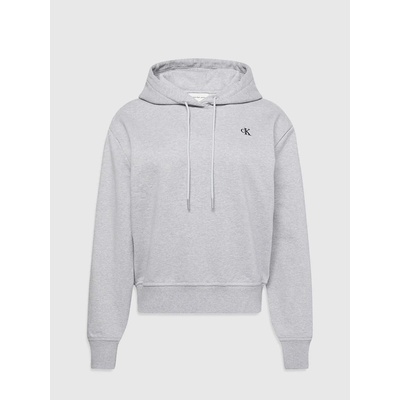 Calvin Klein Суитшърт ls archive terry po hood