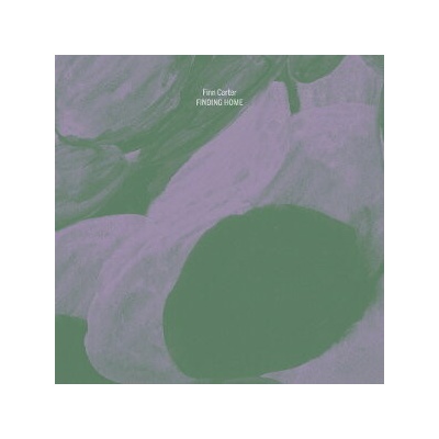 Finn Carter - FINDING HOME CD