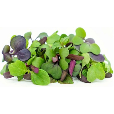 Toraf Microgreens semínka na klíčky Směs pikantní 20 g