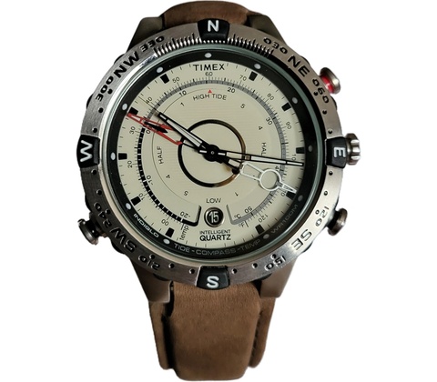Timex T2N721