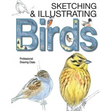 Sketching & Illustrating Birds: Professional Drawing Class Varela Juan