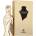 Maison Des Parfums Celebrite EDP 80 ml
