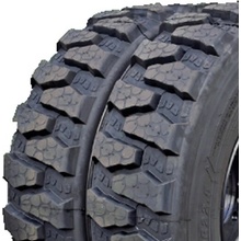 CALIBER PG EVOLUTION2 295/80-22,5 152/148A7 TL