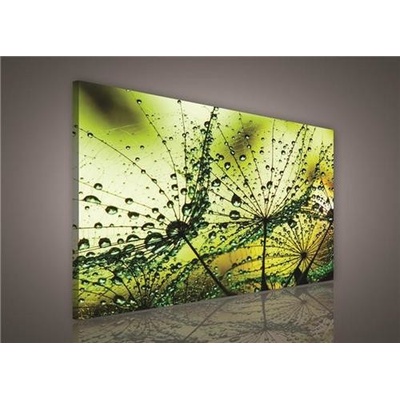 Obraz na plátne, rozmer 100 x 75 cm, rosa, IMPOL TRADE PP418O1