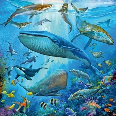 RAVENSBURGER Zvířata z oceánu 3x49 dielov