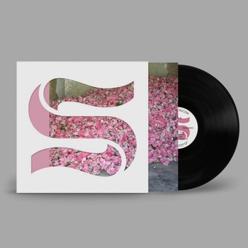BRAXE & FALCON - STEP BY STEP LP