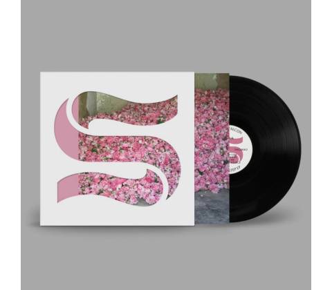BRAXE & FALCON - STEP BY STEP LP