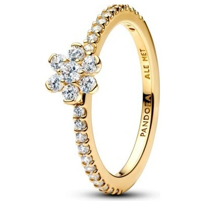 Pandora 164499C01