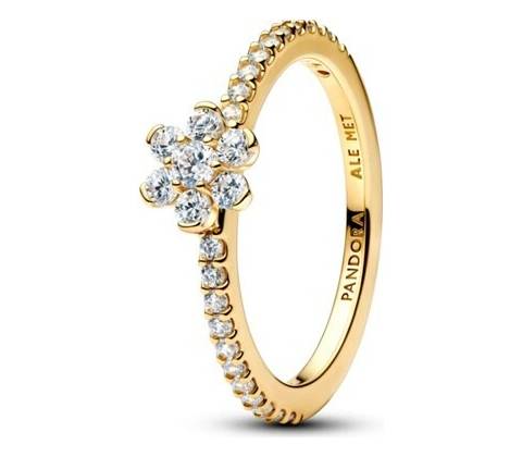 Pandora 164499C01
