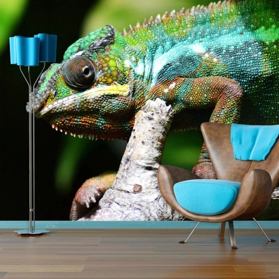 Sablio Tapeta Chameleón, rozmery 336x220 cm