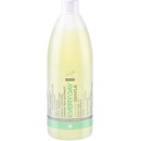 Master Profesional šampon pro každodenní použití 970 ml