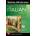 Easy Italian Reader, Premium Third Edition | Saggese, Riccarda