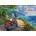 Cobble Hill - Puzzle Arrived - 500 piese