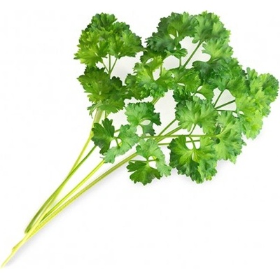 Veritable Вложка за семена Lingot основни билки къдрав магданоз (lingot-pietruszka-kedzierzawa)