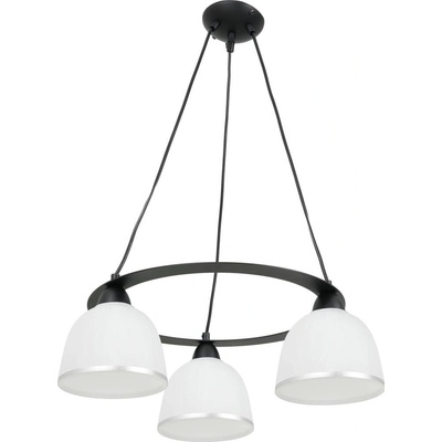 Luminex 0178