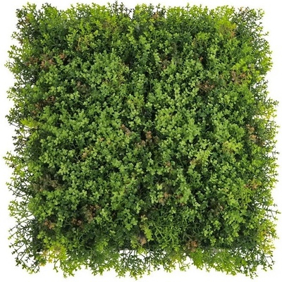 Umělá živá zelená stěna lišej SEDUM, 50 x 50cm, plocha 0,25m2