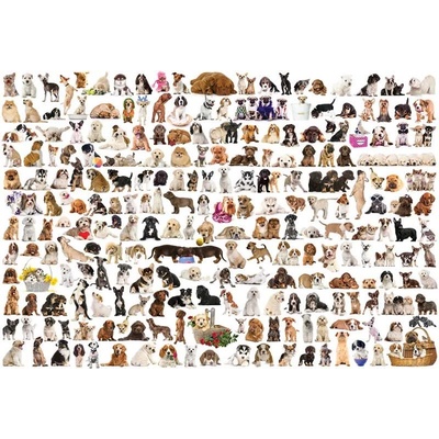 EUROGRAPHICS - Puzzle World of dogs - 1 000 piese