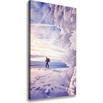 Vertikálny foto obraz na plátne do obývačky Lyžiar 50x100 cm