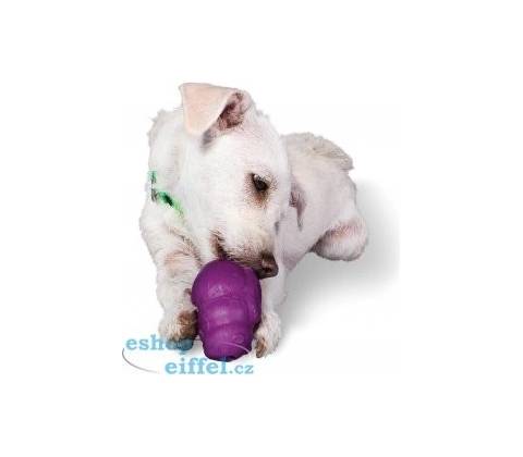 PetSafe Squirrel Dude S