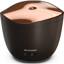 Sharp DF-A1E-T aroma difuzér simulace Plameň