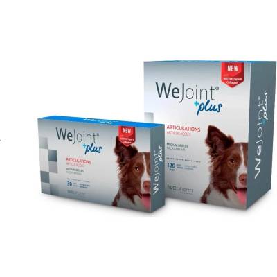 Wepharm WeJoint Plus medium breeds pro psy 30 tablet