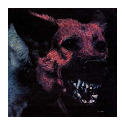 Protomartyr - Under Color Of Official Right LP