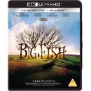 Big Fish BD