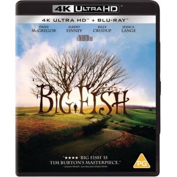 Big Fish BD