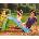 Little Tikes Моята първа пързалка Little Tikes, синя