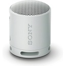 Sony SRS-XB100H