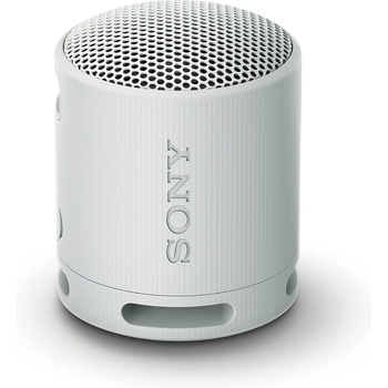 Sony SRS-XB100H
