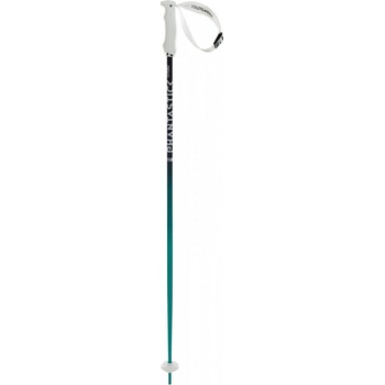 Völkl Phantastick W 2021/22