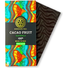 Chocolate Tree 100% hořká čokoláda Cacao Fruit Guatemala 70 g